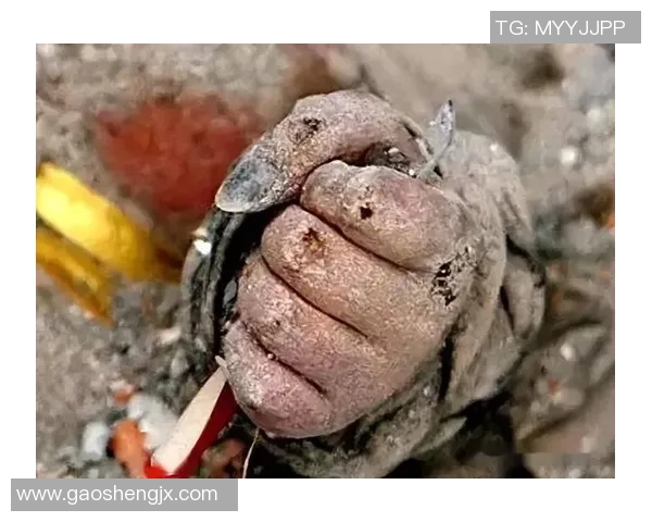 S15令人心碎的瞬间回顾让人一口气看完后泪流满面